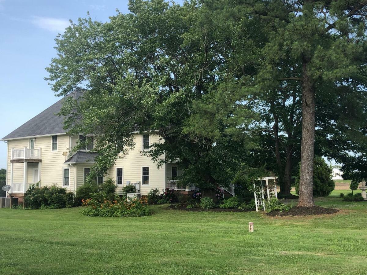 Ma Margarets House Bed And Breakfast Heathsville Экстерьер фото